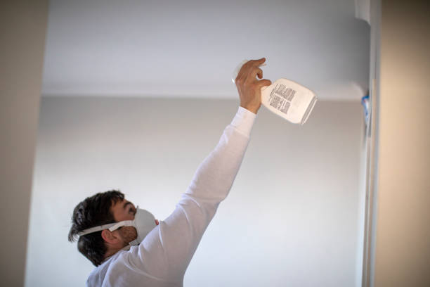 Best Health and Safety Mold Remediation in New Vienna, OH