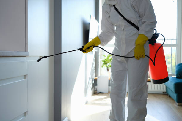 New Vienna, OH Mold Remediation Company