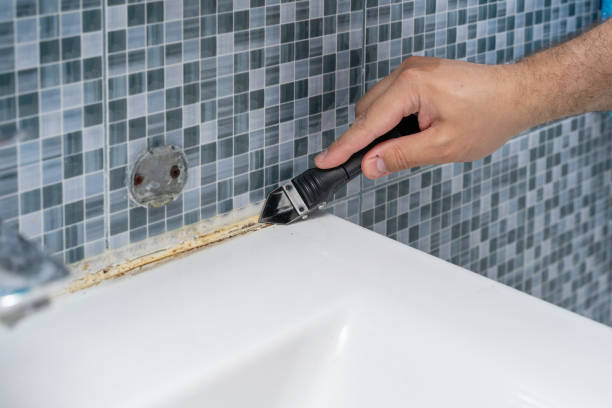 Best Black Mold Remediation in New Vienna, OH