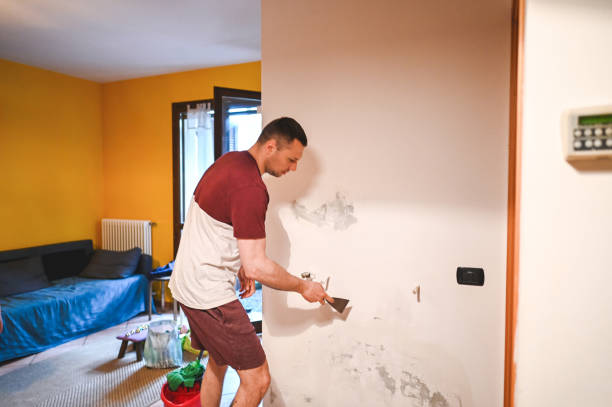 Best Basement Mold Remediation in New Vienna, OH